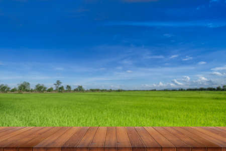 Empty wooden table with rice field and blue skyの写真素材
