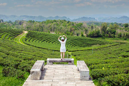happy and free girl on the mountain on the tea plantationの写真素材