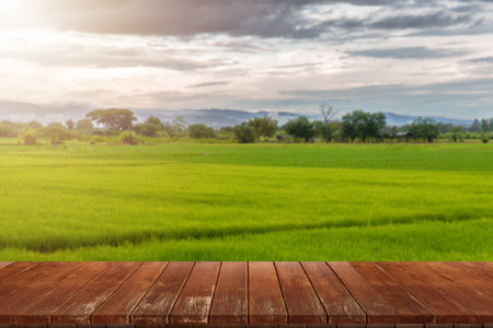 Wooden table and blur of beauty on a sunset day on a field with sky and mountains in the background.の写真素材