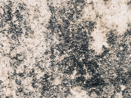 Grunge cement wall texture background. Abstract background and texture for design.の写真素材