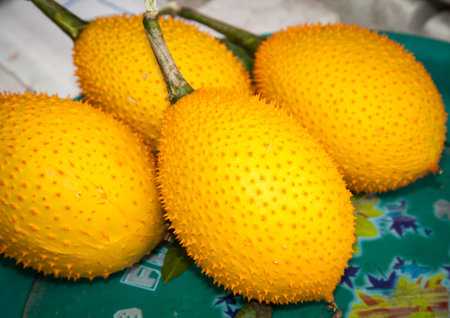 Gac fruitの写真素材