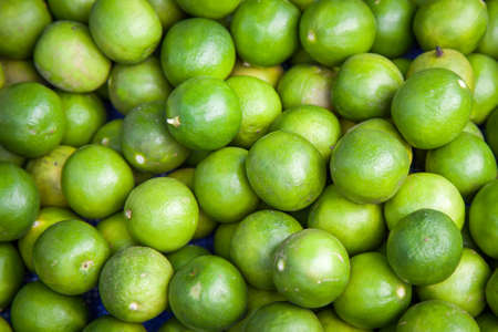 Limesの写真素材