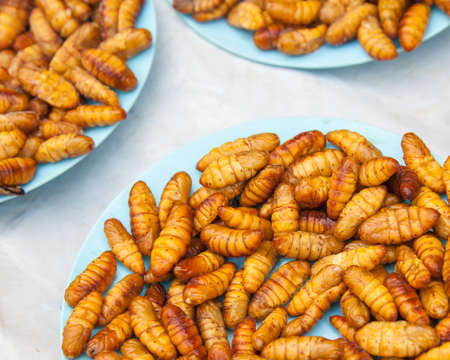 Silk worm friedの写真素材