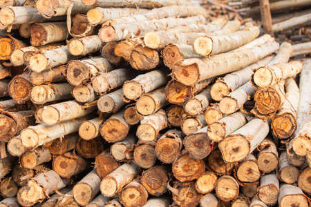 firewoodの写真素材