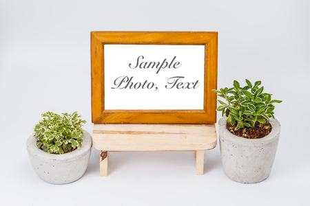 photo frame and plants in flower pots on white backgroundの写真素材