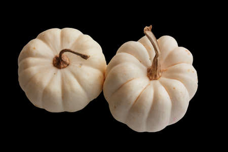 White Pumpkin closeup on black background の写真素材