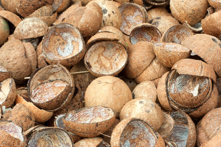 Stack shell of the coconut  