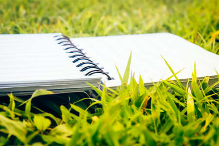blank note pad on the grassの写真素材