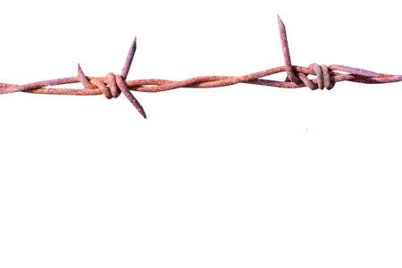 Rusty barb wire isolated on white backgroundの写真素材