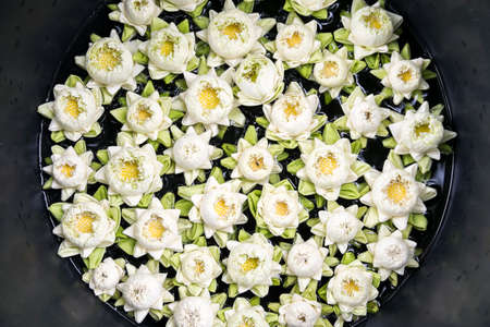 handicraft with The lotus blossom floatingの写真素材