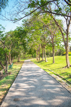 Concrete walkway in the park