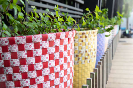 Recycle Concept. Bring  plastic woven basket to plant trees.jpgの写真素材