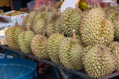 Fresh durian fruit display in street local market for sale in Thailandの写真素材