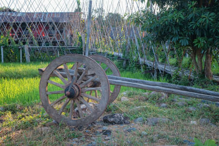 wooden wagon wheel with metal rim in a field  located  in Nan Province,Thailandの写真素材