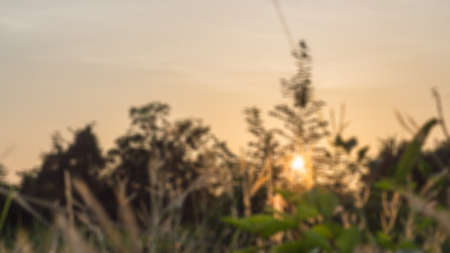 Evening sky sunset sky is golden. Prepare for the morning the bright picture is blurred.の写真素材