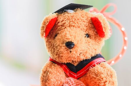Brown teddy bear on a degree of success. A gift to the problem at th District students graduate.の写真素材