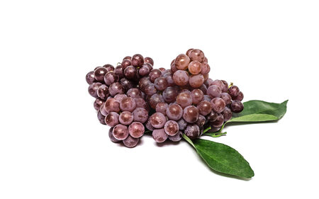 Red grapes small bite, then I would eat tasty white background.の写真素材