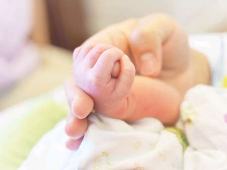 Baby hand and mother hand holding togetherの素材
