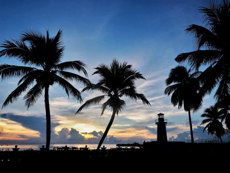 Silhouette of coconut tree and lighthouse with sunriseの素材