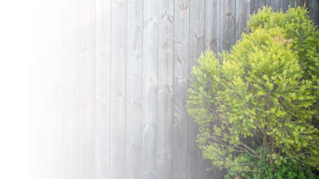 wooden wall backgroundの写真素材