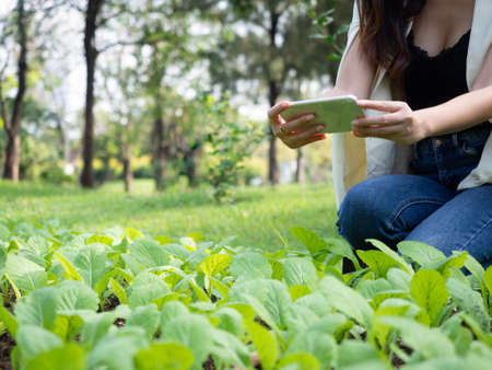 asia business woman farmer smily in garden holding a smart phoneの写真素材