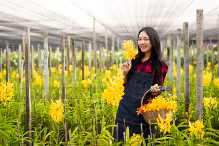 beauty asia farmer woman gardener of orchid gardening farm collection the orchids flower.Business owner garden farm  checking blooming in the garden.の写真素材