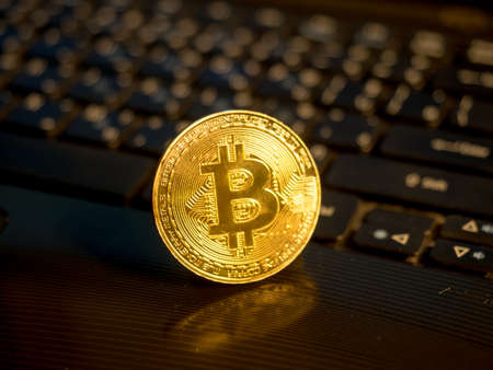 golden bitcoin on notebook backgroundの写真素材