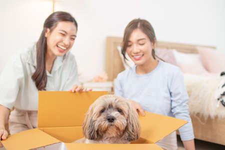 couple beautiful Asian female friends enjoying her dog inside cardboard box.の写真素材