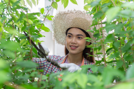 asian Woman wear hat pruning bushes with big garden scissors.