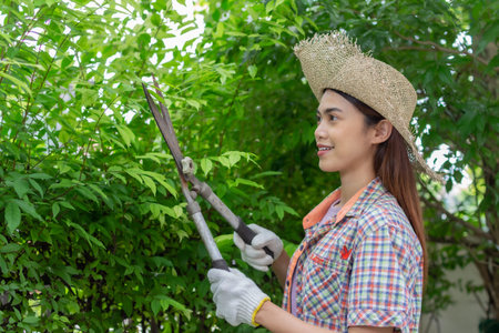 asian Woman wear hat pruning bushes with big garden scissors.