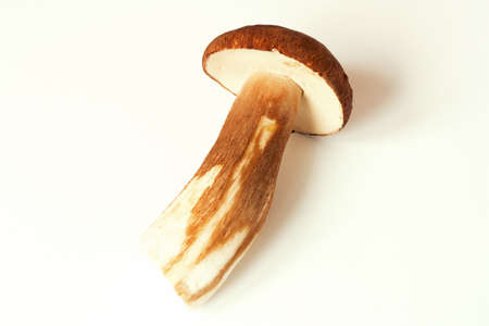 The fresh cut-off cepe on white background.の写真素材