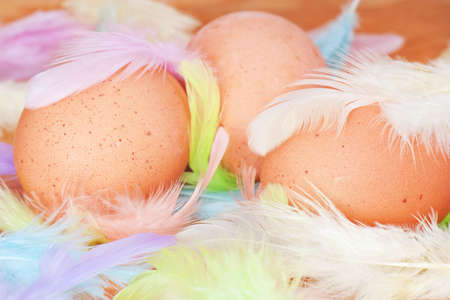 Speckled eggs and multi-colored pens.の写真素材