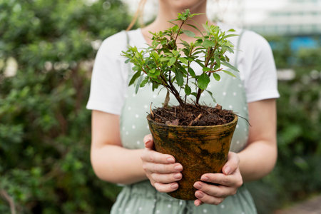 Young woman holding a pot with a bonsai tree in her handsの写真素材