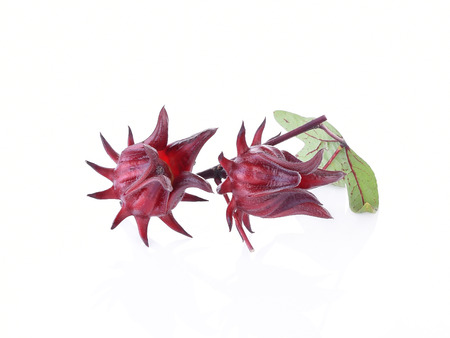 Hibiscus sabdariffa or roselle fruits.Roselle fruits isolated on white backgroundの写真素材