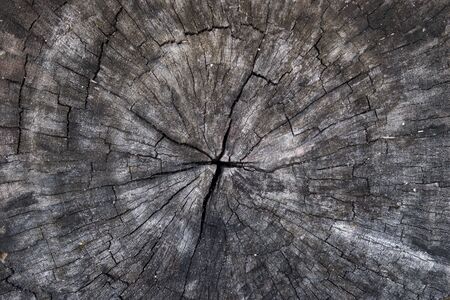 Old wood is cut backgroundの写真素材