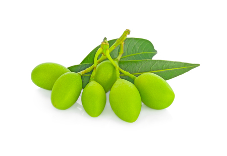 Closeup sweet Marian plum thai fruit,Maprang young on white backgroundの写真素材