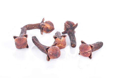 dry cloves on white backgroundの写真素材