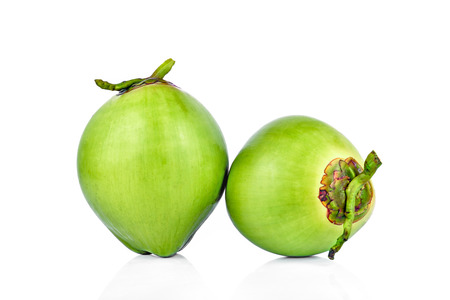 Green coconut isolated on white backgroundの写真素材