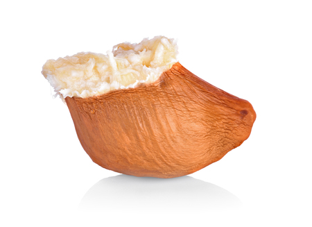 durian seeds isolated on white backgroundの写真素材