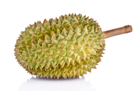 King of fruits, durian fruit with shell on white background.の写真素材