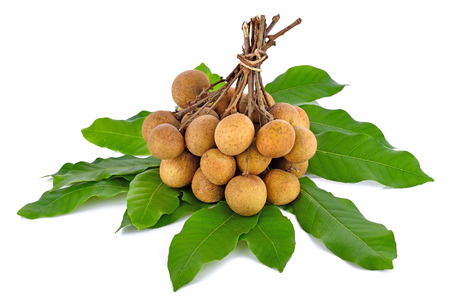 Fresh longan on white backgroundの写真素材