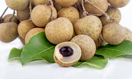 Longan, Dimocarpus longan, Central of Thailandの写真素材