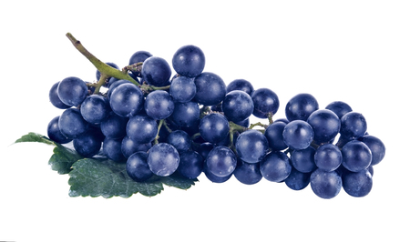 Blue wet Isabella grapes bunch isolated on white background as package design elementの写真素材