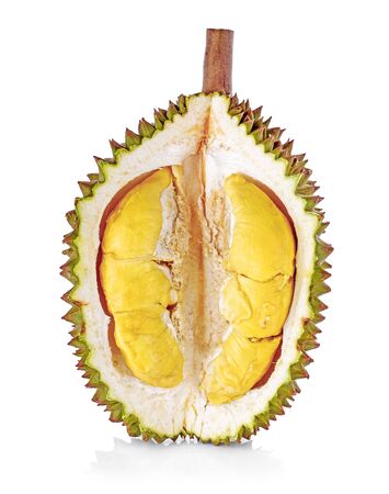 durian in side Mon Thong durian fruit on white backgroundの写真素材