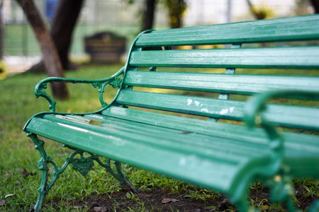Green chair in the park,close-up,bench