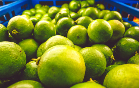 close-up Green fresh green limes,Group of green limes,limes background, defocus and POV
