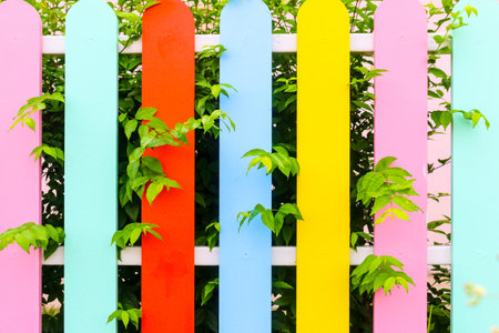 Wood fence Colorful and greenの写真素材