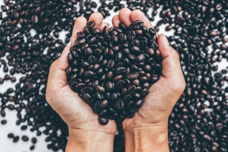 Coffee beans in handの写真素材