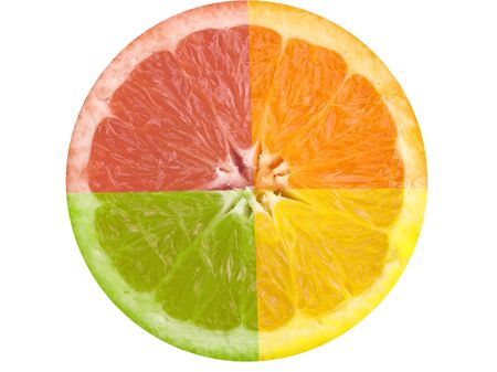 Citrus lime lemon orange grapefruit white backgroundの写真素材