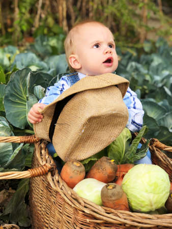 The child is a little farmer. Farm assistant.の写真素材